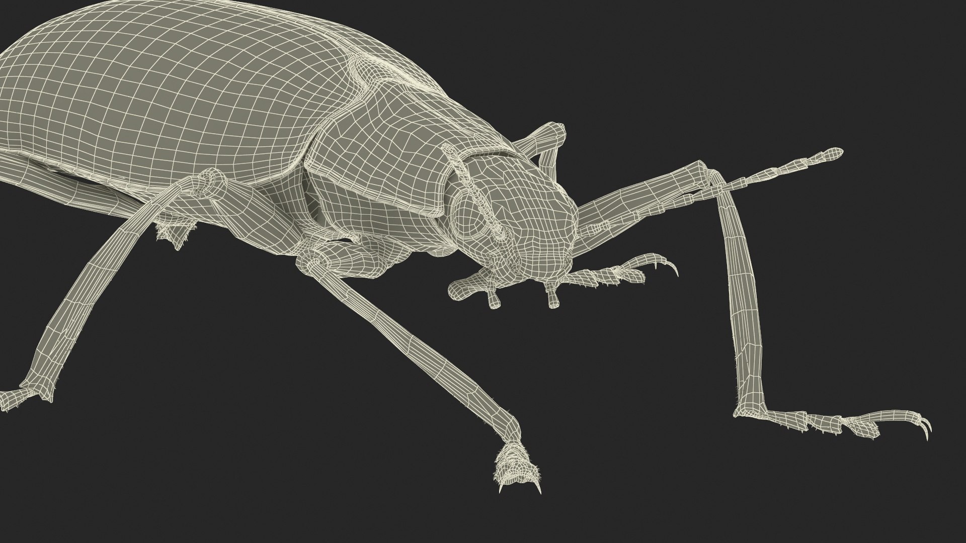3D Blue Fungus Beetle Insect Fur Rigged https://p.turbosquid.com/ts-thumb/V5/J7Bytp/oH/bluefungusbeetleinsectfurrigged3dsmodel036/jpg/1723583546/1920x1080/fit_q87/88fb8e9d0d3d9619fe8a084f308a16cb063cf729/bluefungusbeetleinsectfurrigged3dsmodel036.jpg