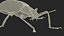 Blue Fungus Beetle Insect Fur Rigged