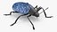 Blue Fungus Beetle Insect Fur Rigged