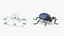 Blue Fungus Beetle Insect Fur Rigged