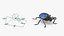 Blue Fungus Beetle Insect Fur Rigged