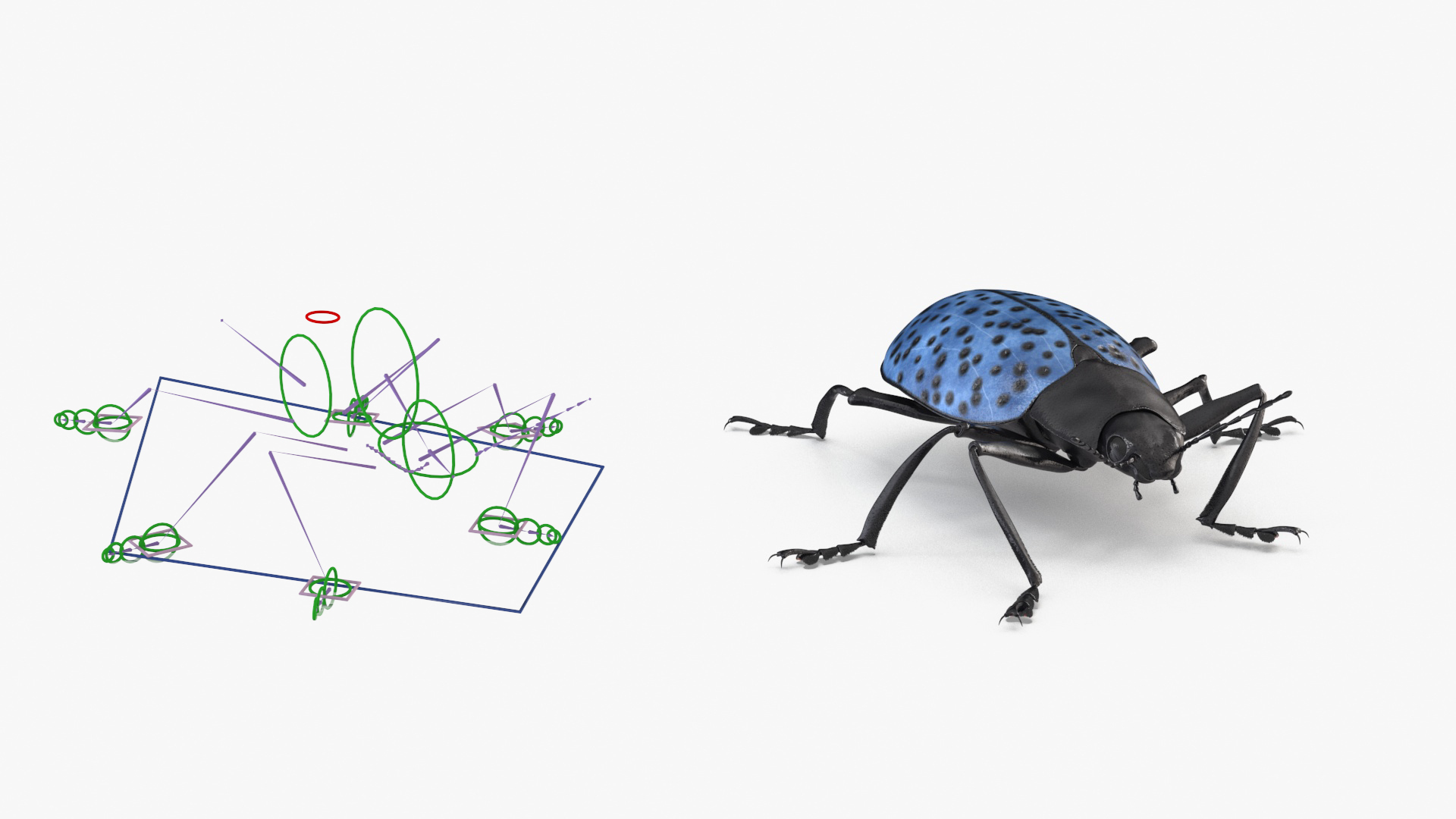3D Blue Fungus Beetle Insect Fur Rigged https://p.turbosquid.com/ts-thumb/V5/J7Bytp/ug/blue_fungus_beetle_insect_fur_rigged_362/jpg/1723583257/1920x1080/turn_fit_q99/961eecd09ce475fae09e6fb72a7d3643b7cd5920/blue_fungus_beetle_insect_fur_rigged_362-1.jpg