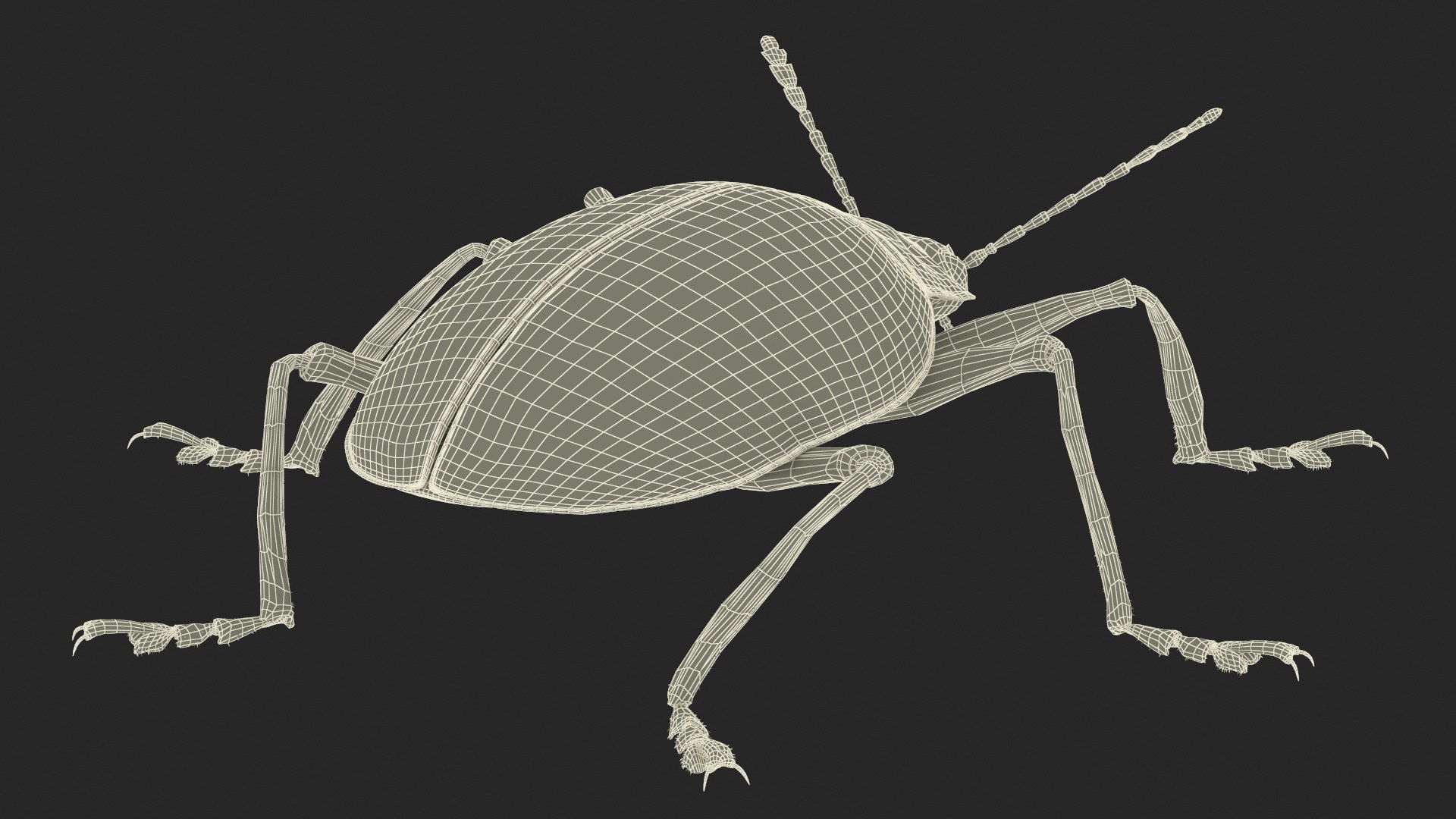 3D Blue Fungus Beetle Insect Fur Rigged https://p.turbosquid.com/ts-thumb/V5/J7Bytp/vB/bluefungusbeetleinsectfurrigged3dsmodel034/jpg/1723583537/1920x1080/fit_q87/c544ef978fcec62eef6d96f8c57ddd34d8db880f/bluefungusbeetleinsectfurrigged3dsmodel034.jpg