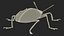 Blue Fungus Beetle Insect Fur Rigged