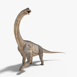 Brachiosaurus Rigged