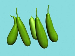 Gourds