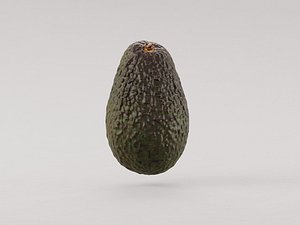 Avocado 3d model