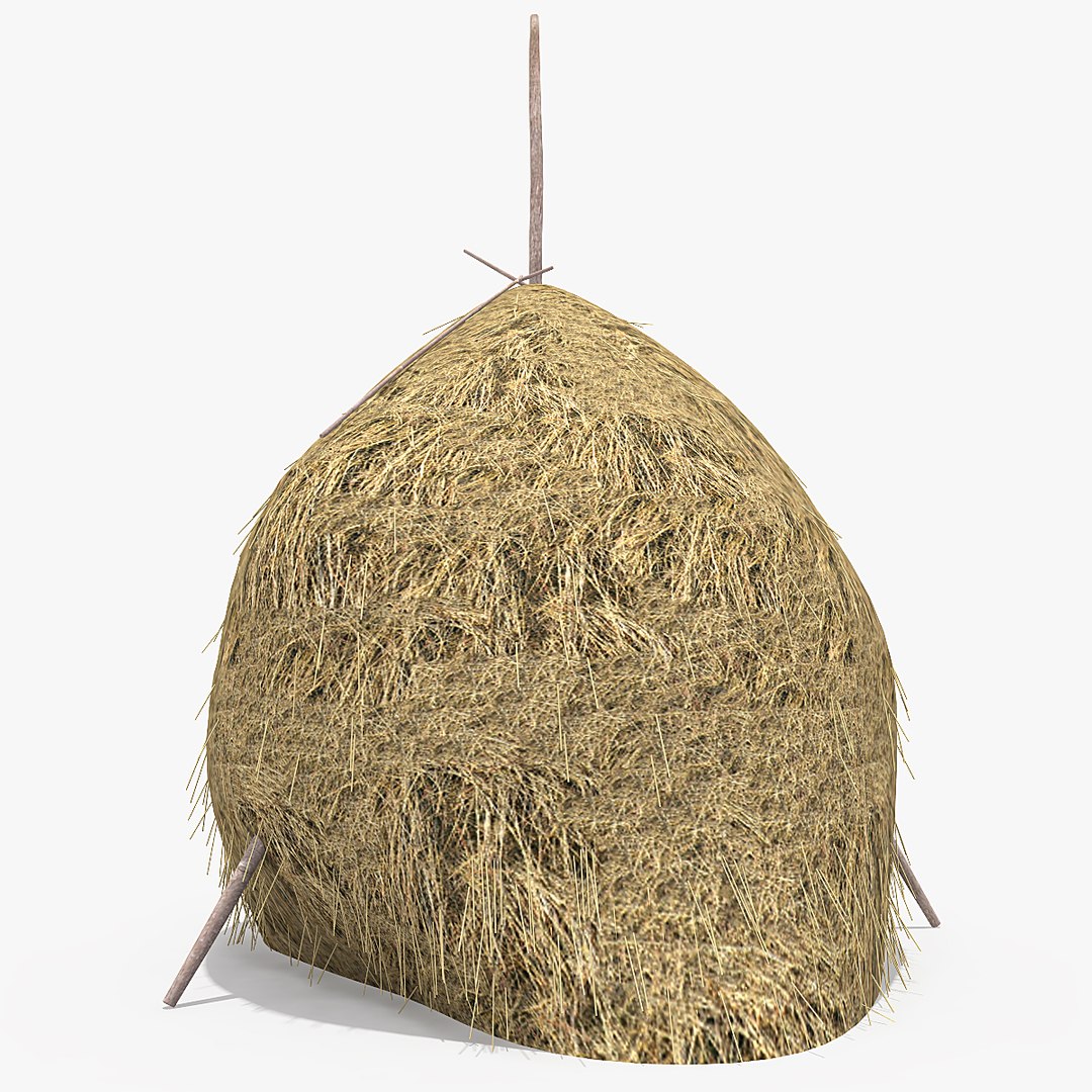 3d Romanian Hay Model