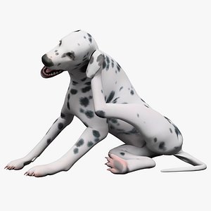 dalmatian dog pose 3d model