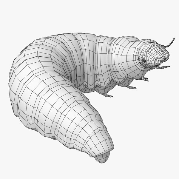 Maggot rolled 3D model - TurboSquid 1375527