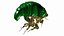 3D bug