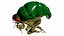 3D bug