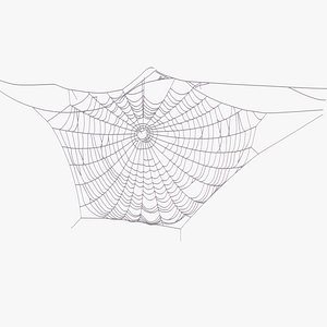 spiderweb 3D model