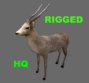 Royal Deer - Game Rigged