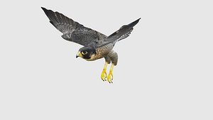 Low Poly Falcon Rigged With Realistic Texture
