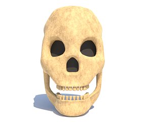 human skull - UE5 3D model