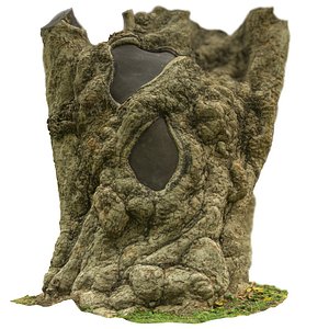 Tropical Tree 3 3D Scan
