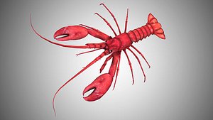 rigged realistic 3D model