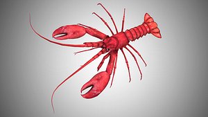 Realistic Rigged Low Poly Lobster