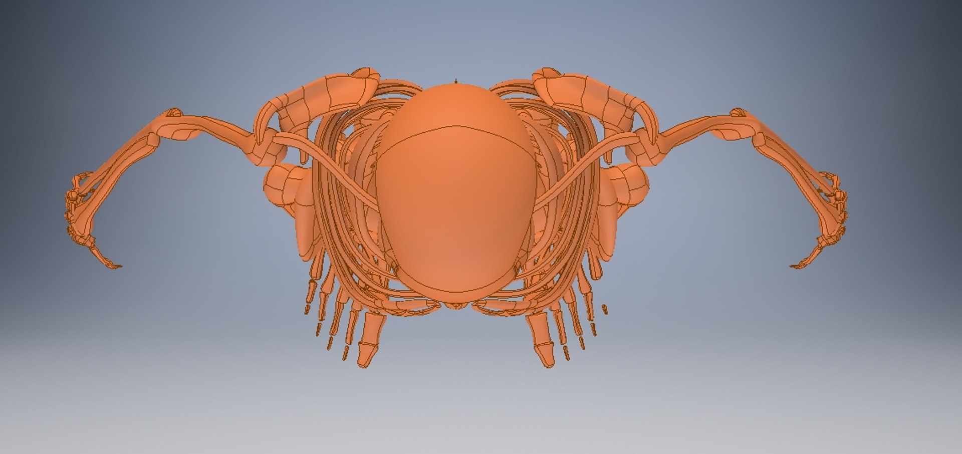 3D model human skeleton https://p.turbosquid.com/ts-thumb/V6/FEKFL6/5WuqLXpT/humanskeleton2/jpg/1585458867/1920x1080/fit_q87/a10c190121c6a055422bce7ce7cadeb1ae75ddd7/humanskeleton2.jpg