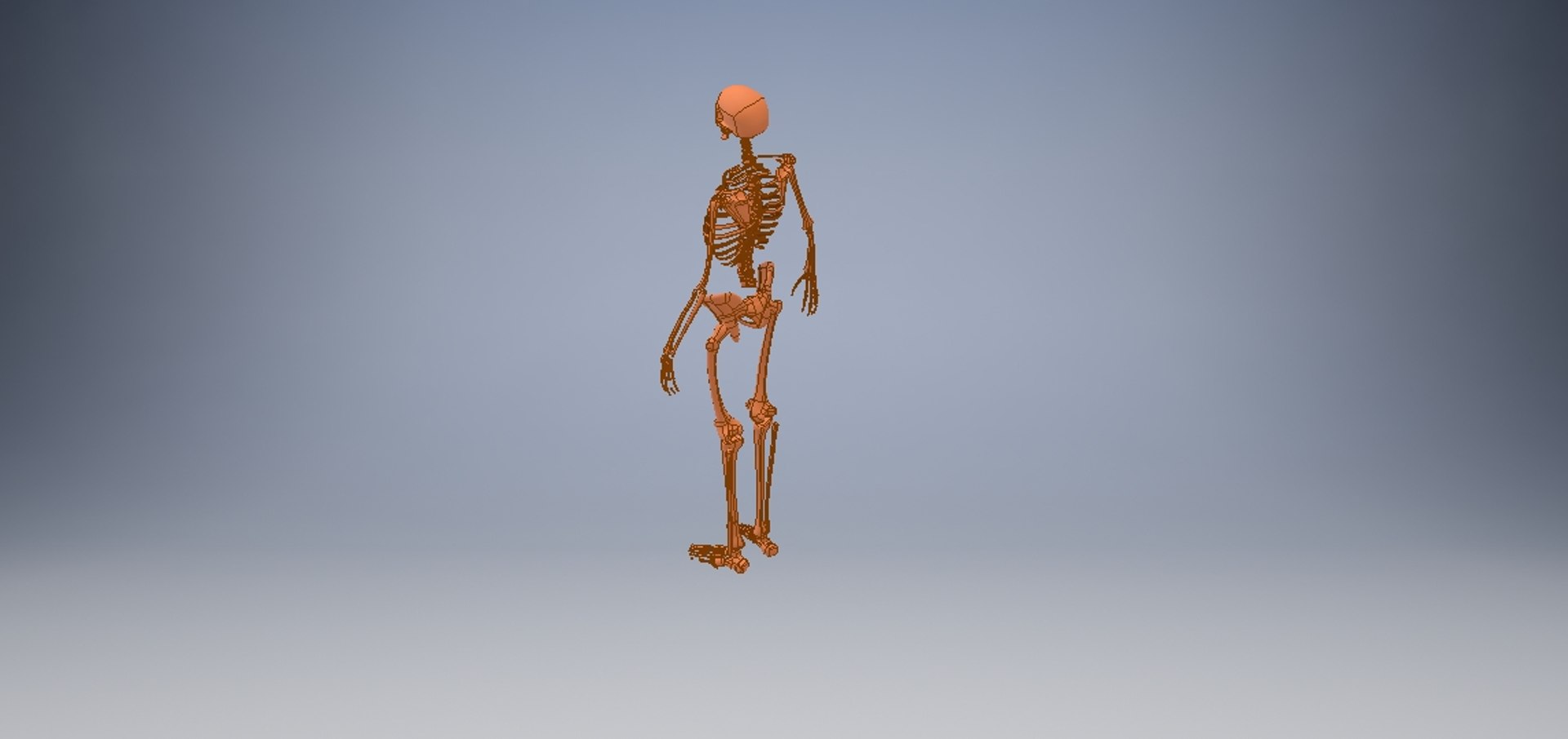 3D model human skeleton https://p.turbosquid.com/ts-thumb/V6/FEKFL6/CWL1VU87/humanskeleton3/jpg/1585458867/1920x1080/fit_q87/d5f14011bcfee13f2064b35c57f407220c0973e9/humanskeleton3.jpg