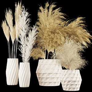 Collection plant vol 59 3D model