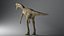 Coelophysis