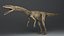 Coelophysis