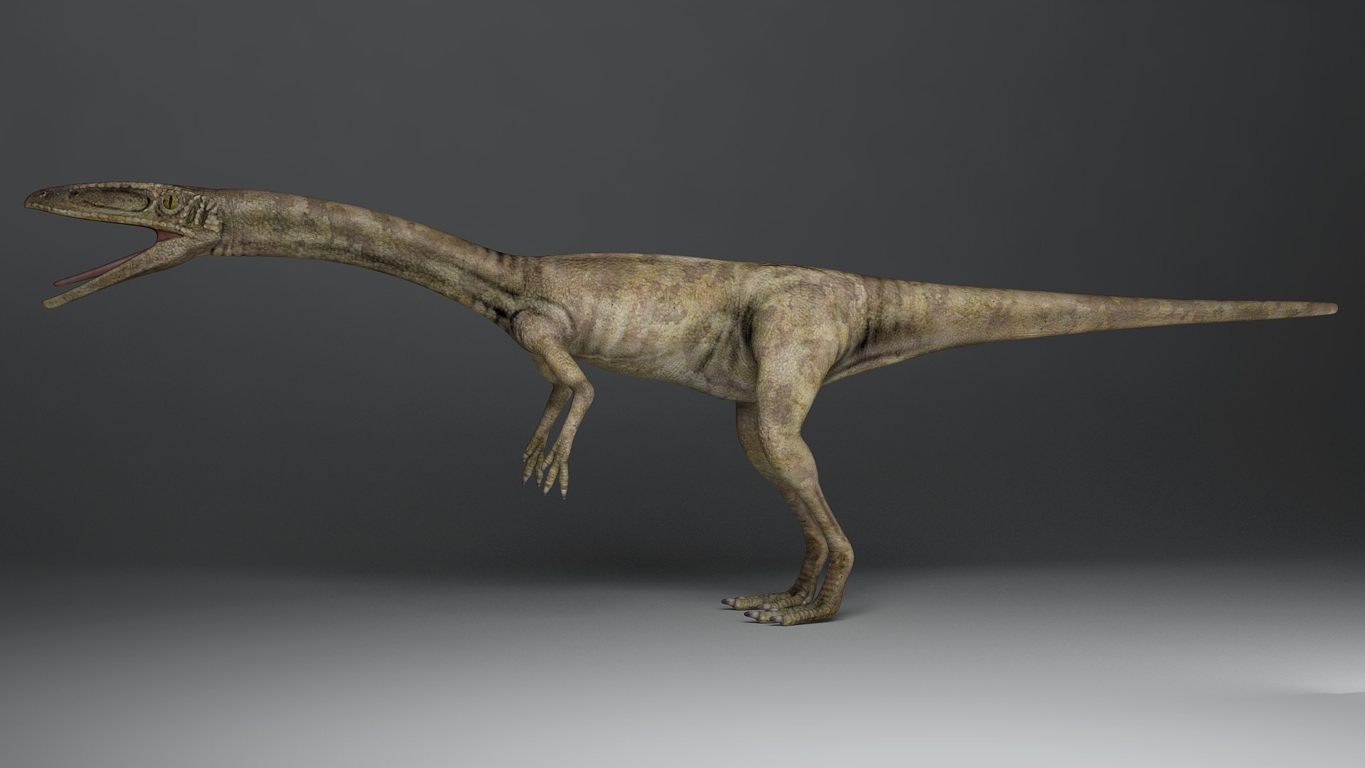 3D dinosaur beast dino https://p.turbosquid.com/ts-thumb/V6/RmVAVY/lTQT7BhJ/02/jpg/1593670432/1920x1080/fit_q87/4af2658a693be75364e1e74bac322615dca5796c/02.jpg