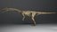 Coelophysis