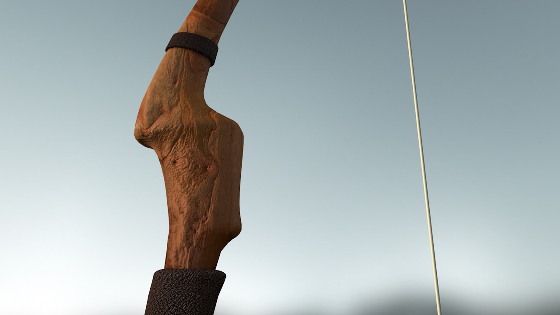 Bow Rig 3d Model