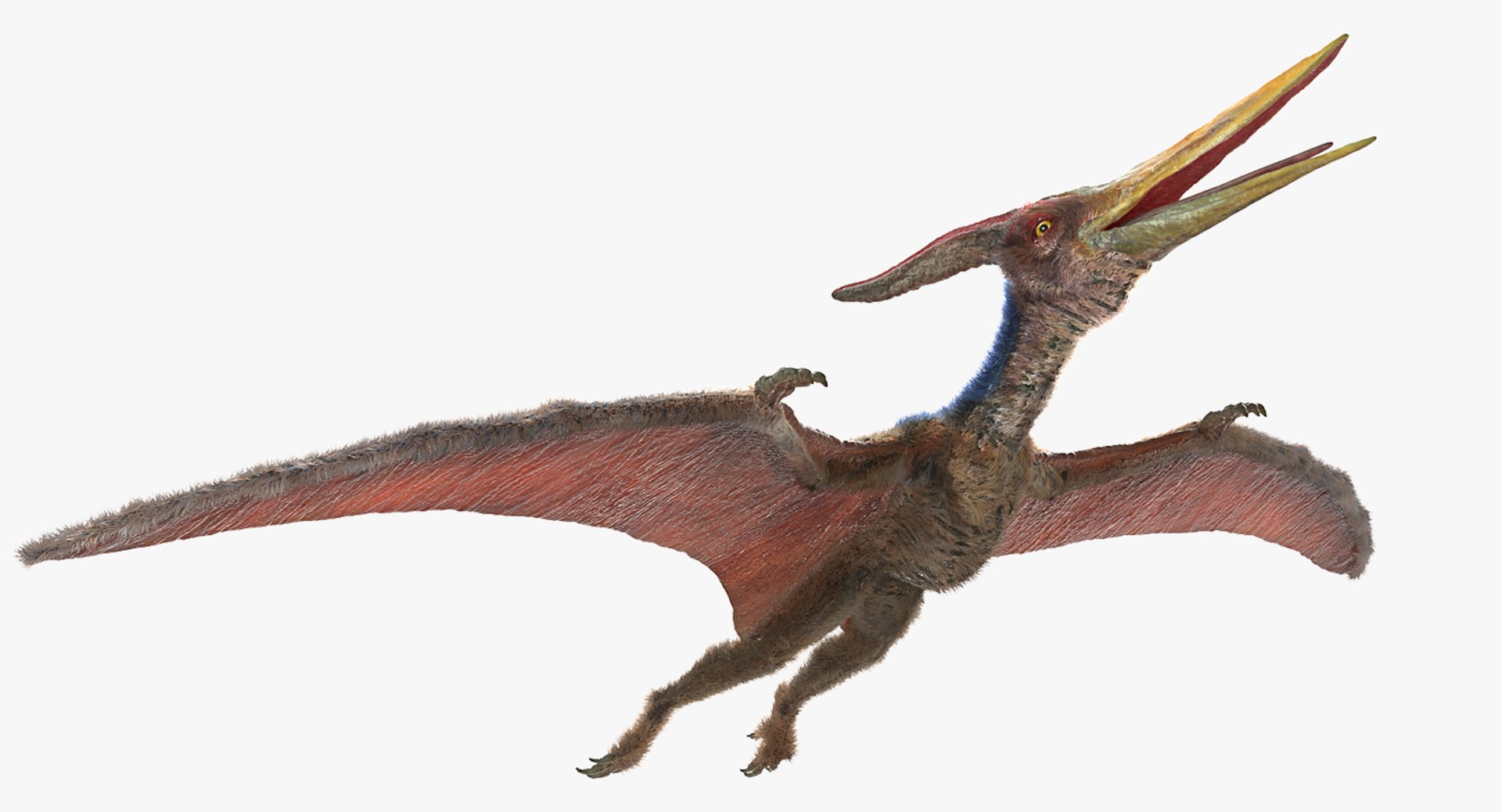 Pteranodon with Fur 3D model preview