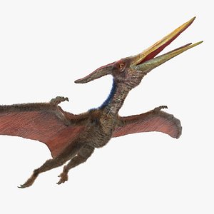 Pteranodon with Fur