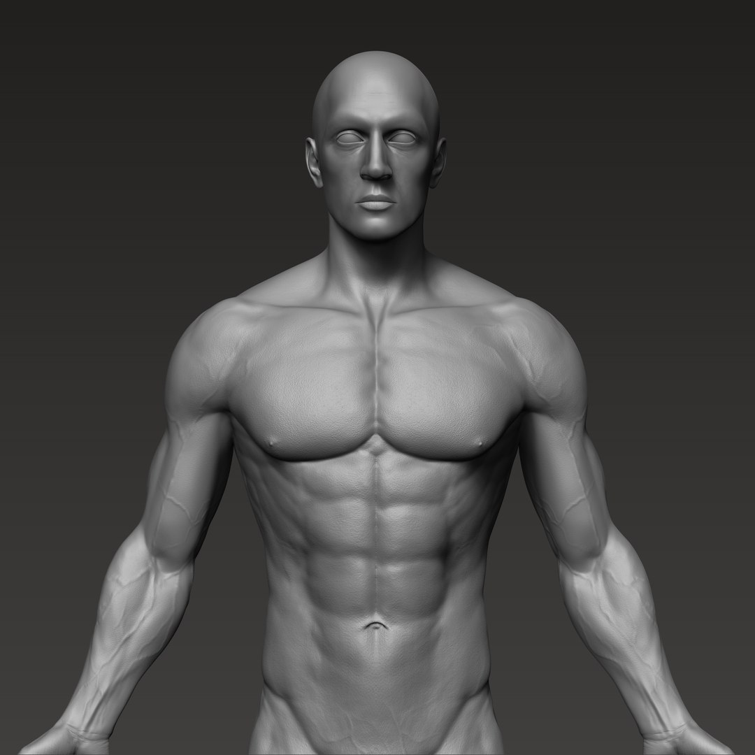 3D anatomically correct male https://p.turbosquid.com/ts-thumb/V6/wTafk0/0mkZZNhZ/7/png/1597709614/1920x1080/fit_q87/4ce03e18f69c5aa6004f4f617db151a239615f46/7.jpg
