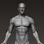 Анатомически правильное мускулистое мужское тело Low и High Poly Low-poly 3D модель