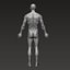 Анатомически правильное мускулистое мужское тело Low и High Poly Low-poly 3D модель