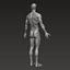 Анатомически правильное мускулистое мужское тело Low и High Poly Low-poly 3D модель