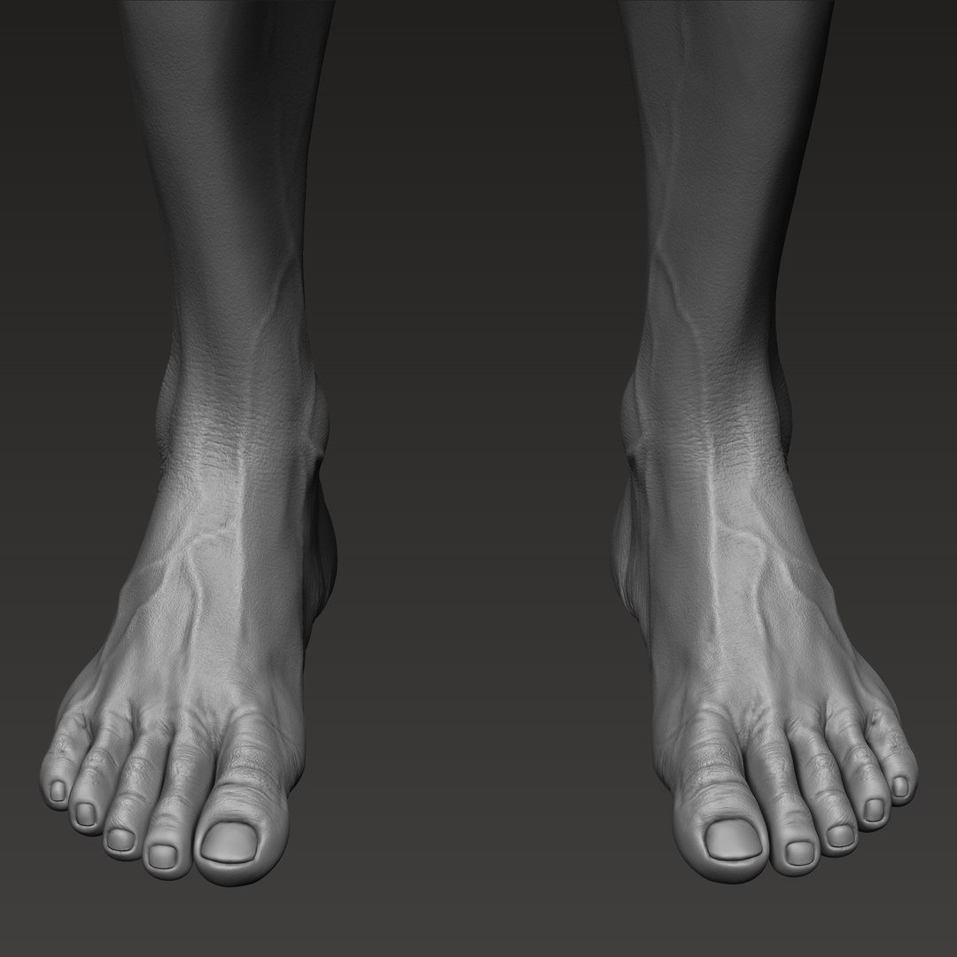 3D Anatomically Correct Male TurboSquid 1607747