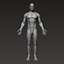 Анатомически правильное мускулистое мужское тело Low и High Poly Low-poly 3D модель