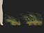 HighpolyLow Poly Microlaena stipoides - Weeping meadow grass model