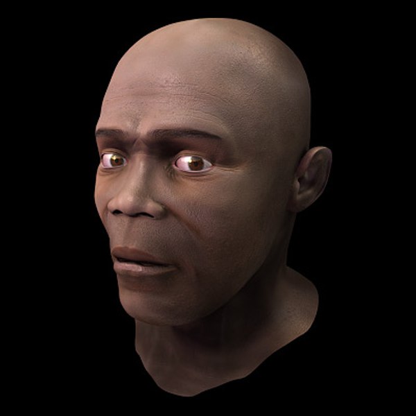 3d model of black male head