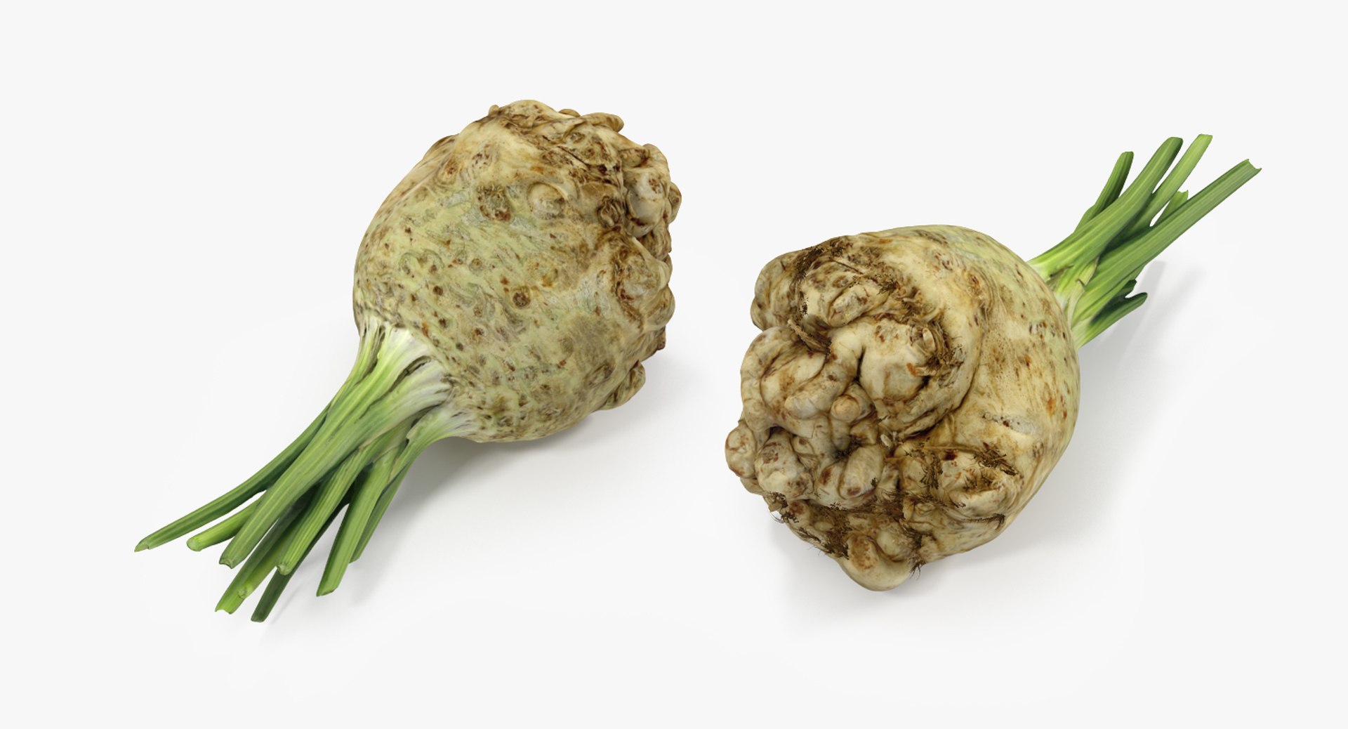 3D Root Vegetables Collection 4 model https://p.turbosquid.com/ts-thumb/V7/qFH8xt/O3/roots_collection_4_049/jpg/1738181207/1920x1080/fit_q87/1fbc0ec135926fd1a21f0c7f377d0d31e14f277a/roots_collection_4_049.jpg