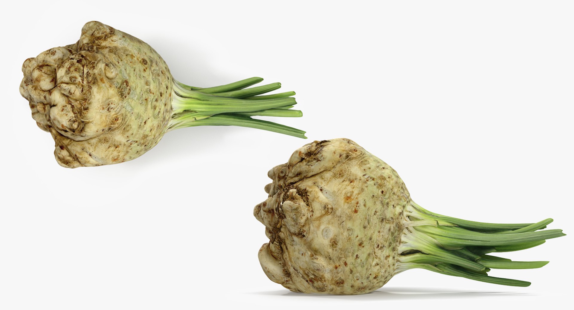 3D Root Vegetables Collection 4 model https://p.turbosquid.com/ts-thumb/V7/qFH8xt/Xg/roots_collection_4_050/jpg/1738181210/1920x1080/fit_q87/c4bd0b834d1da8405b7327eb0500c3481def1784/roots_collection_4_050.jpg