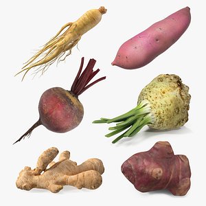 3D Root Vegetables Collection 4 model