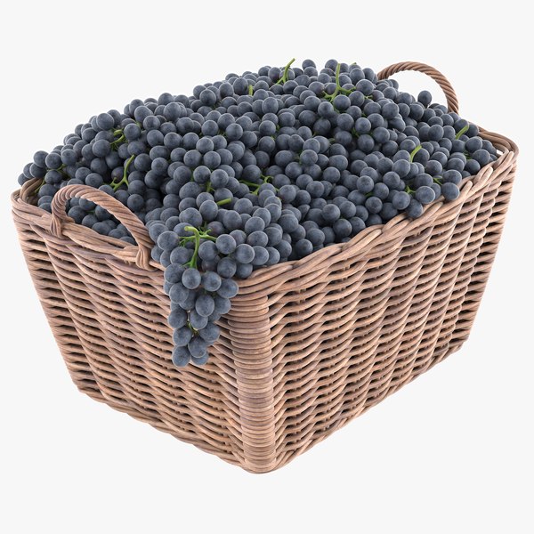 3D Grapes Models TurboSquid