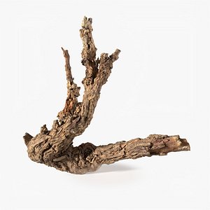 Grapevine Bark 3D Scanned 02 StemCell 3D model
