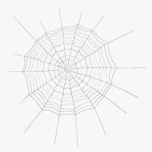 Spider Web