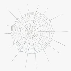 Spider Web