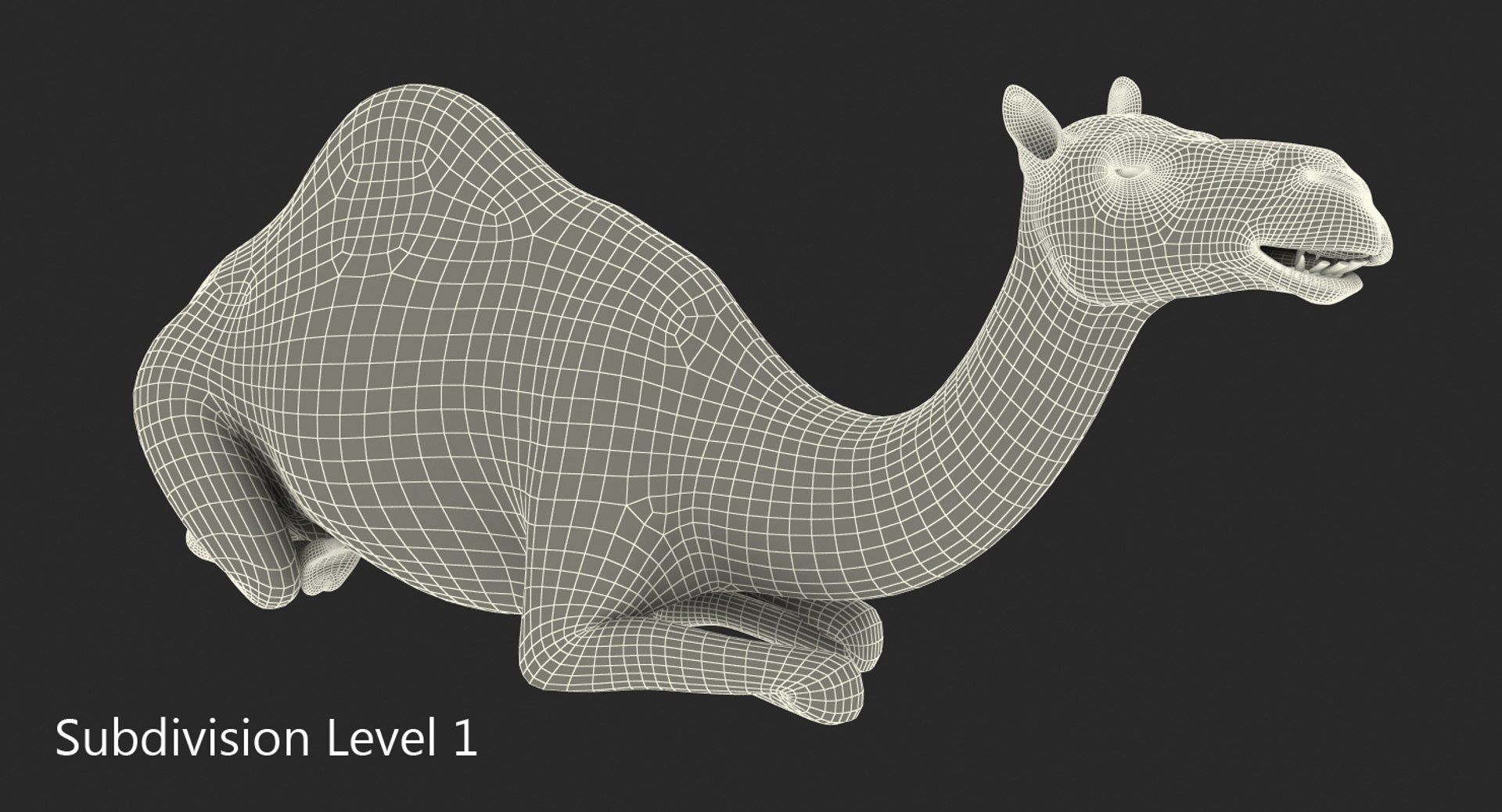 camel sitting pose fur 3d model https://p.turbosquid.com/ts-thumb/V8/8eqO0u/WvCpkQdv/camelsittingposewithfurmb3dmodel010/jpg/1487150681/1920x1080/fit_q87/8f045c16ec2de641069c1a70ae93496c13165f23/camelsittingposewithfurmb3dmodel010.jpg