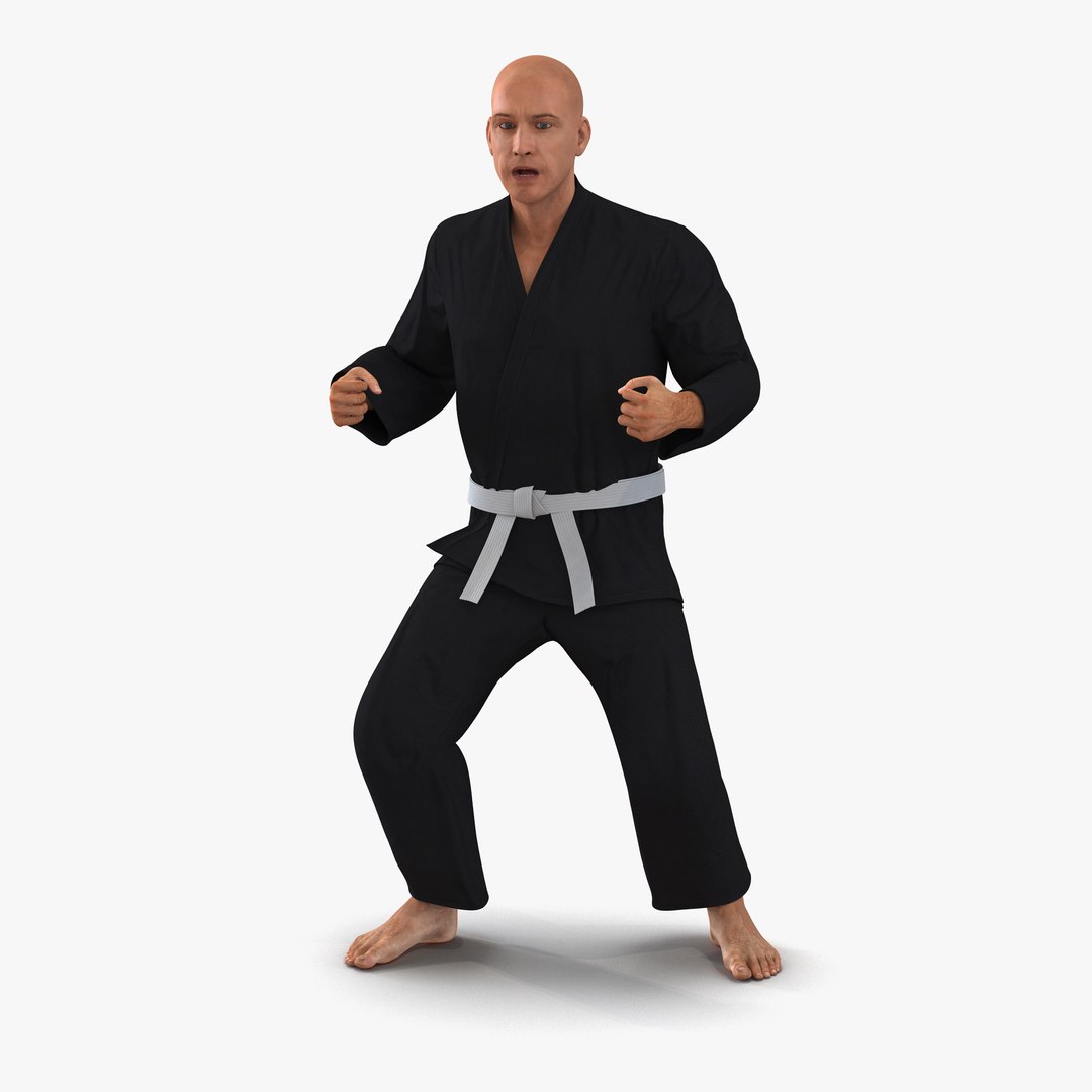 Karate Fighter Black Suit Rigged 3D Model 3D model preview